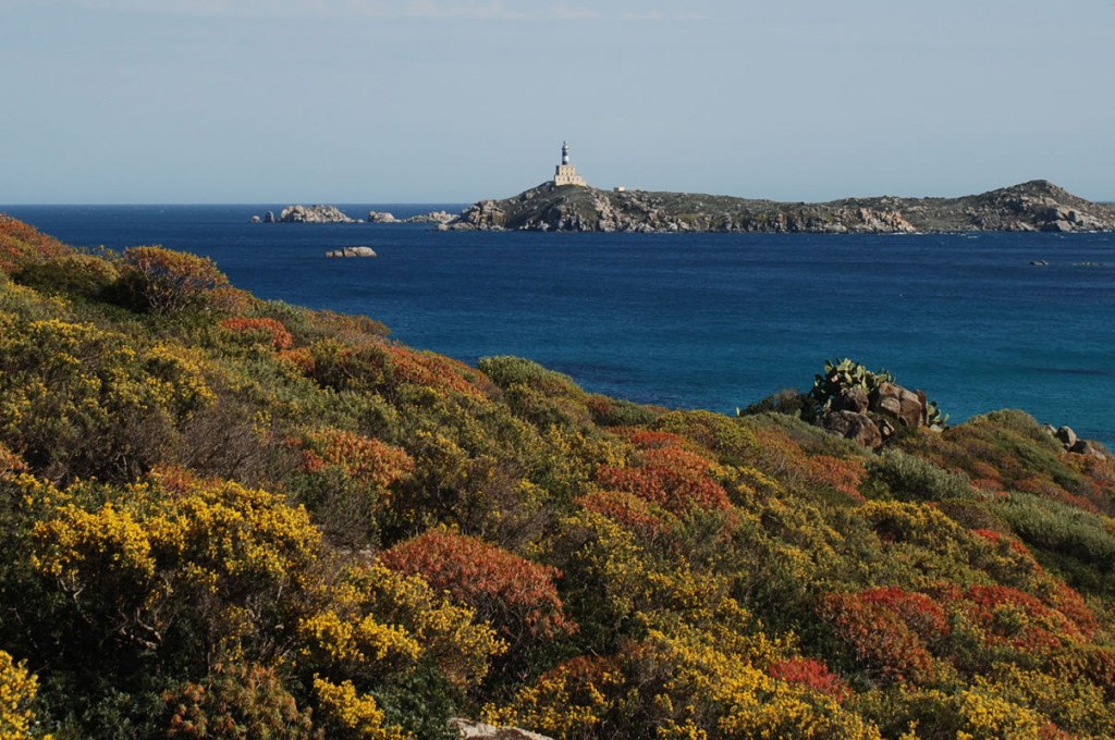 hotel-villasimius-aras-sardegna-area-marina-protetta
